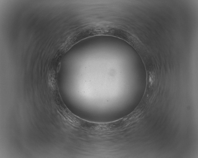 X0000052610867200507011225