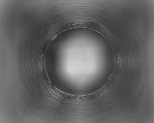 X0000052610868200507011225