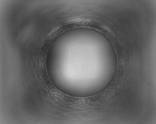 X0000052610869200507011225