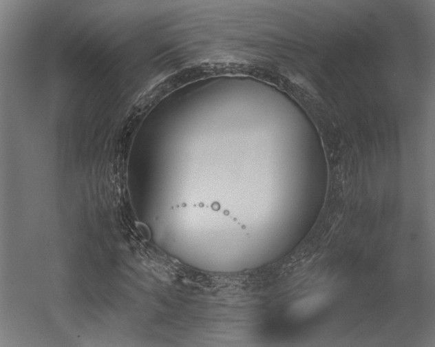 X0000052610870200507011225