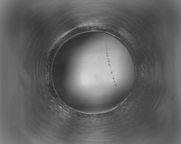 X0000052610872200507011225