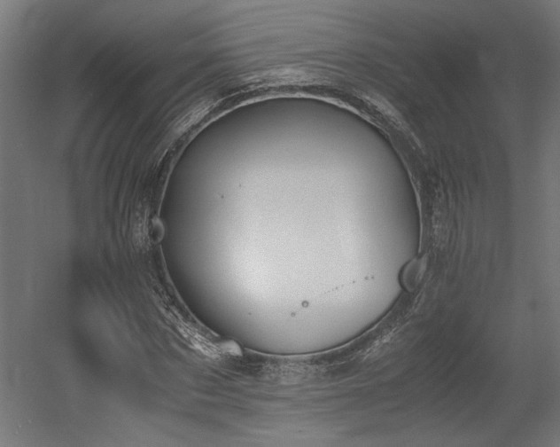 X0000052610873200507011225