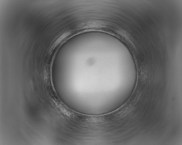 X0000052610874200507011225