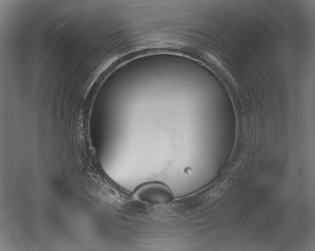 X0000052610875200507011224