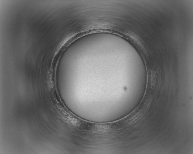 X0000052610878200507011224