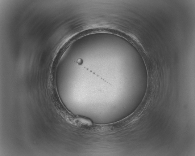 X0000052610879200507011224