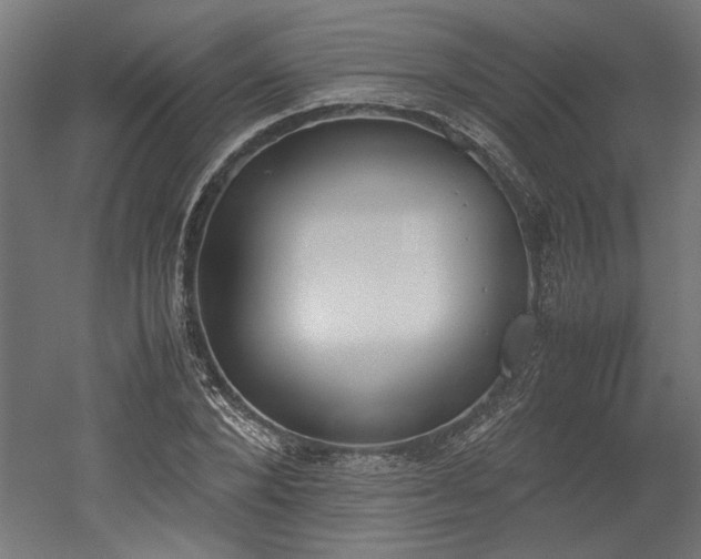 X0000052610880200507011224