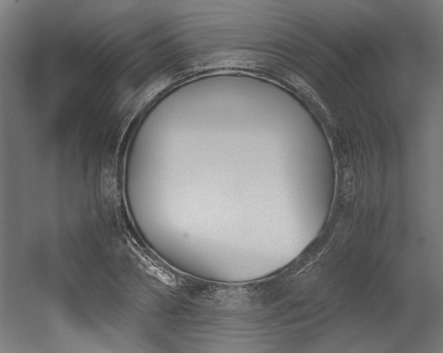 X0000052610882200507011224