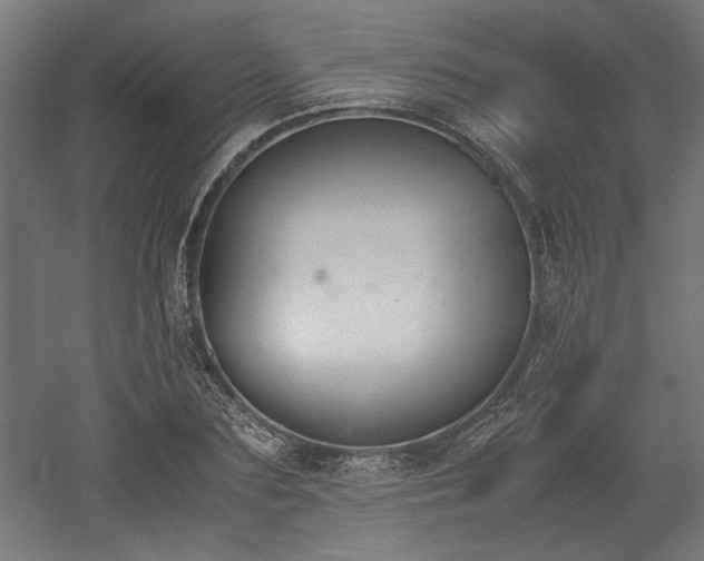 X0000052610883200507011224