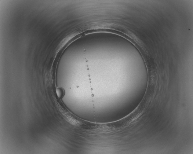 X0000052610885200507011224