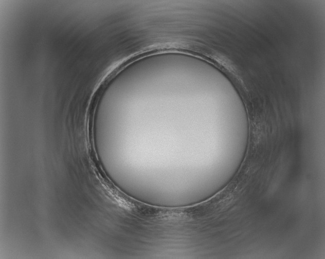 X0000052610886200507011224