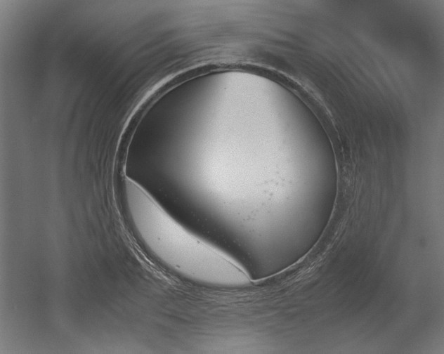 X0000052610887200507011224