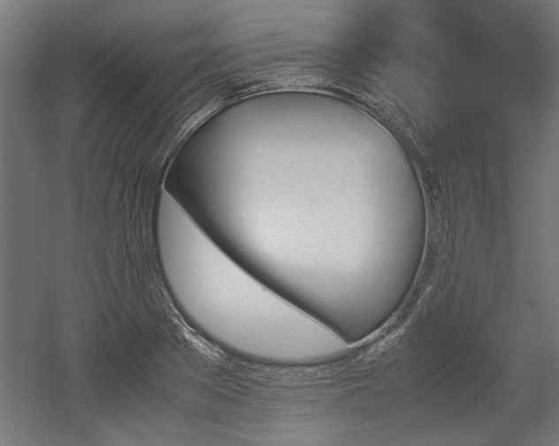 X0000052610889200507011224