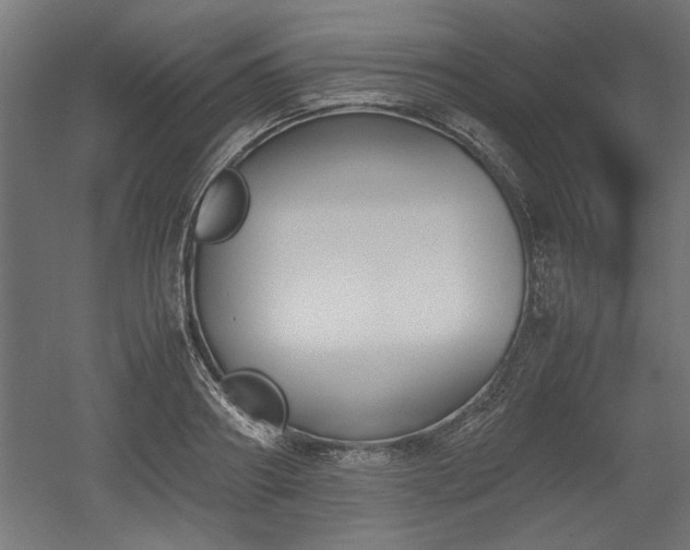 X0000052610890200507011224