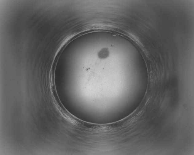 X0000052610891200507011224