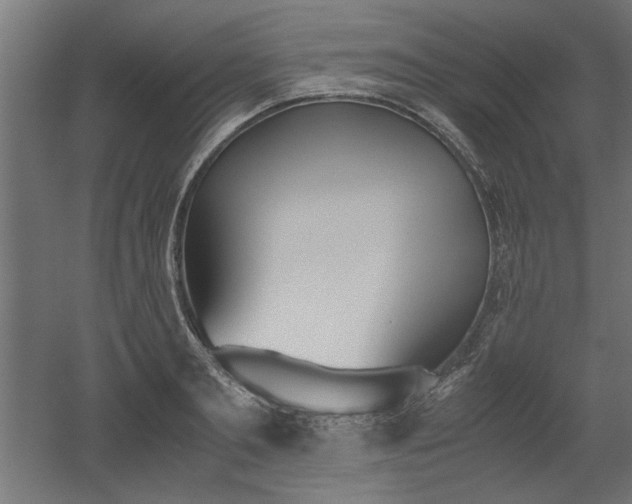 X0000052610893200507011224