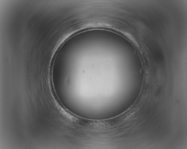 X0000052610895200507011224