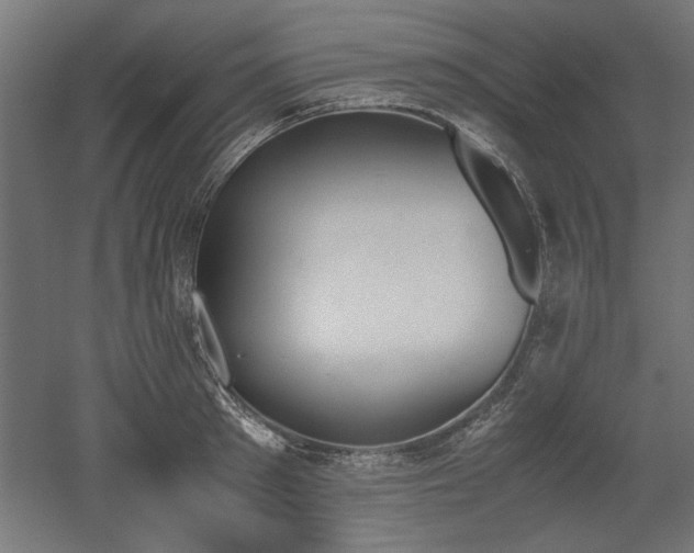 X0000052610897200507011224