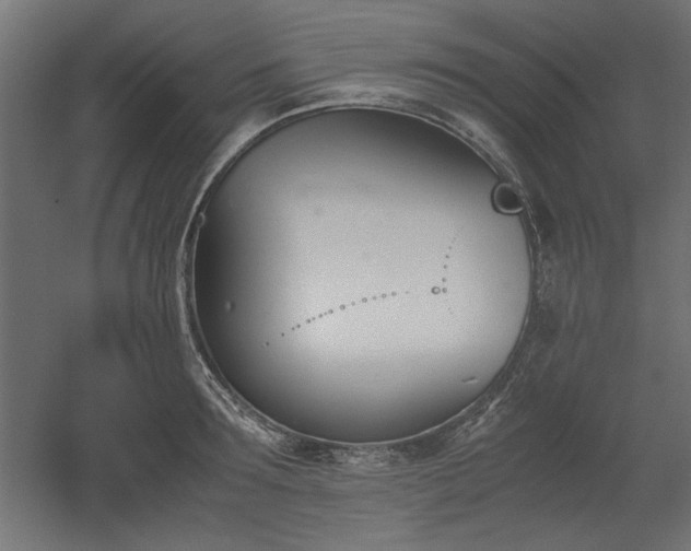 X0000052610899200507011224