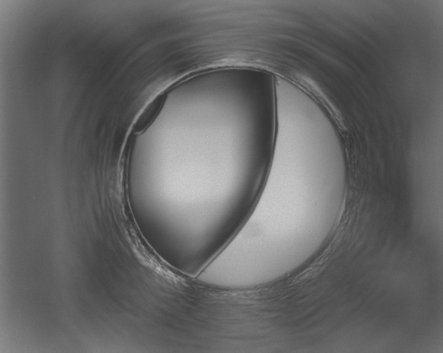 X0000052610900200507011224