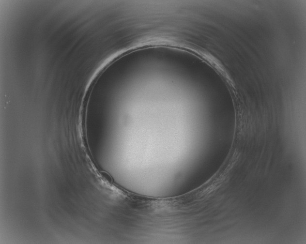 X0000052610904200507011224