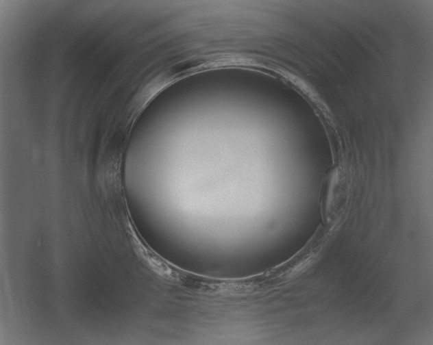 X0000052610905200507011224