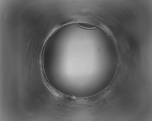 X0000052610907200507011224