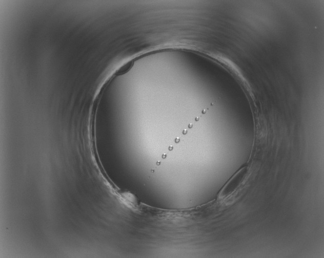 X0000052610910200507011224