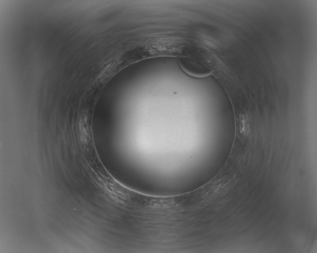 X0000052610915200507011223