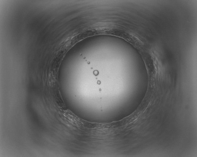 X0000052610917200507011223