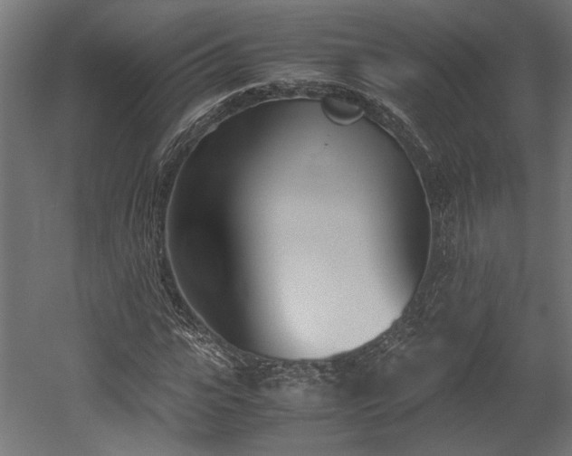 X0000052610919200507011223