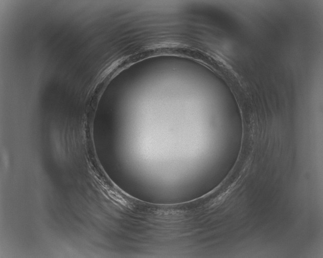 X0000052610921200507011223