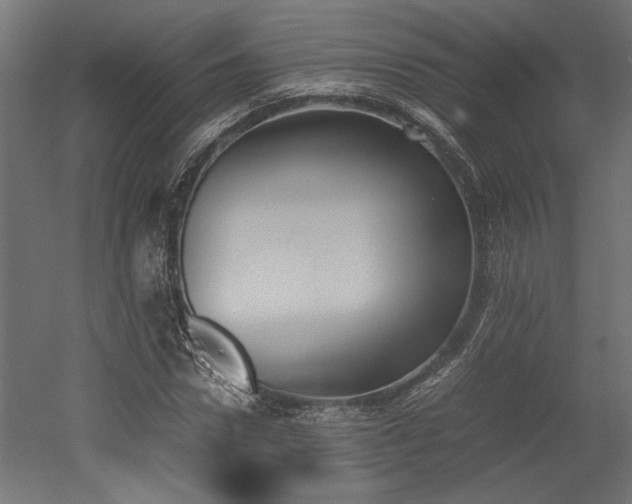 X0000052610922200507011223