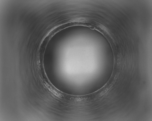 X0000052610923200507011223