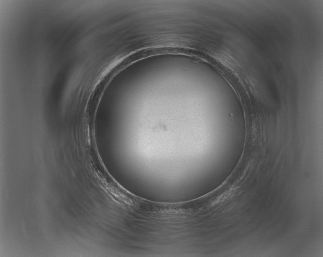 X0000052610925200507011223