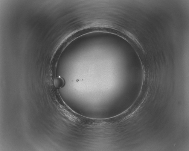 X0000052610926200507011223