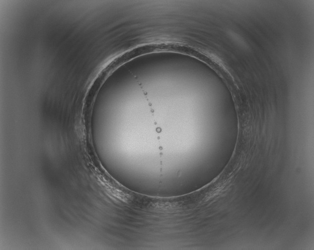 X0000052610927200507011223