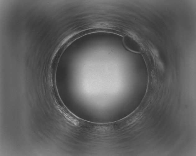 X0000052610931200507011223