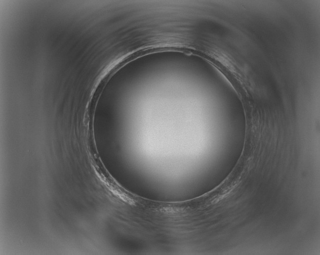 X0000052610933200507011223