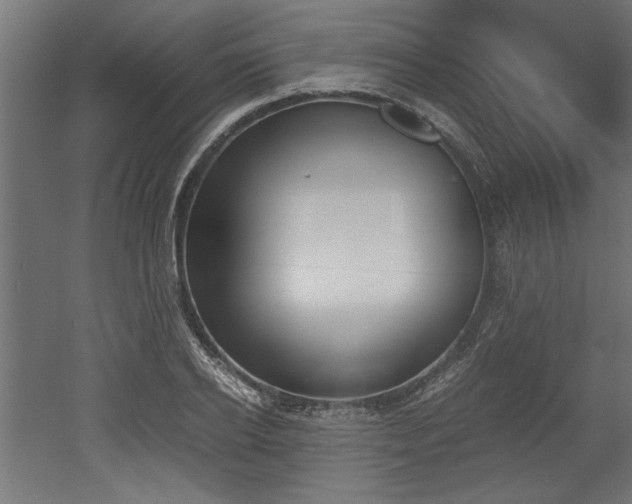 X0000052610934200507011223