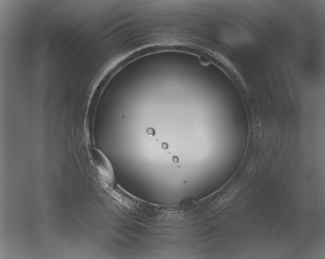 X0000052610935200507011223