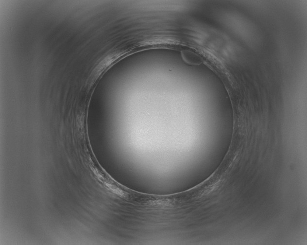 X0000052610937200507011223