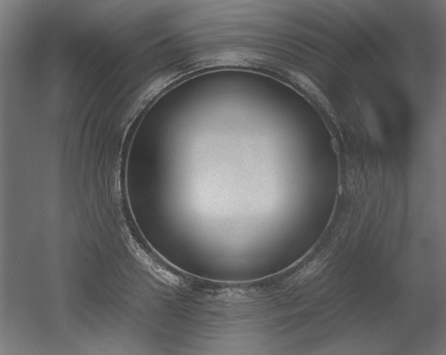 X0000052610938200507011223