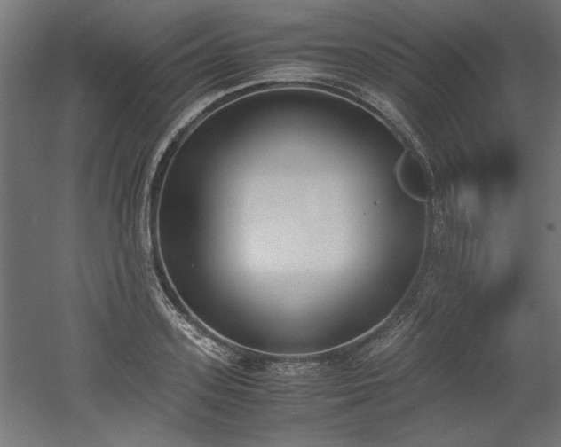 X0000052610939200507011223