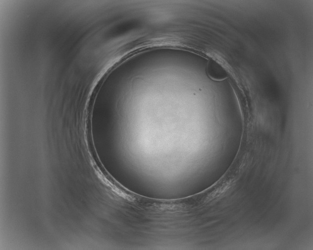 X0000052610941200507011224