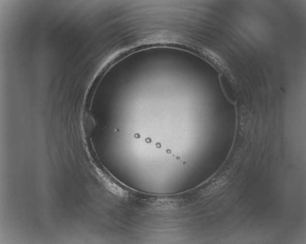 X0000052610942200507011224