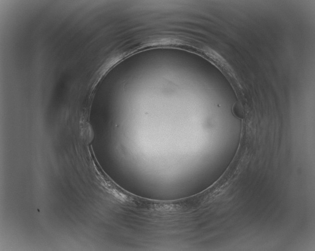 X0000052610945200507011224