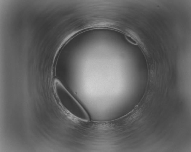 X0000052610948200507011224