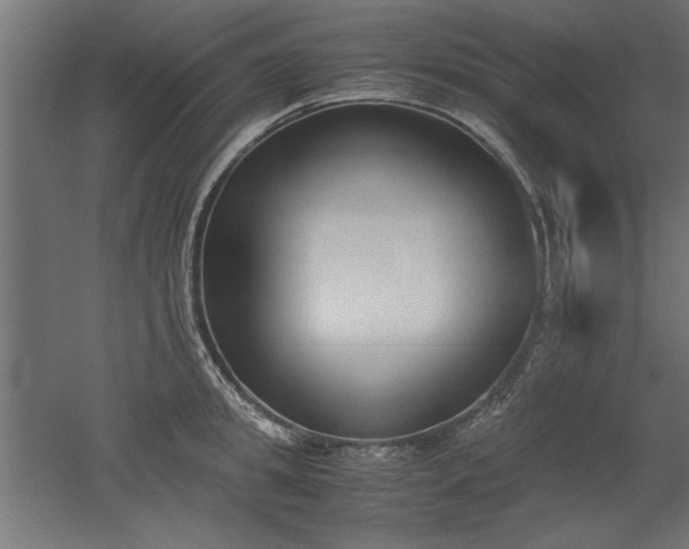 X0000052610949200507011224