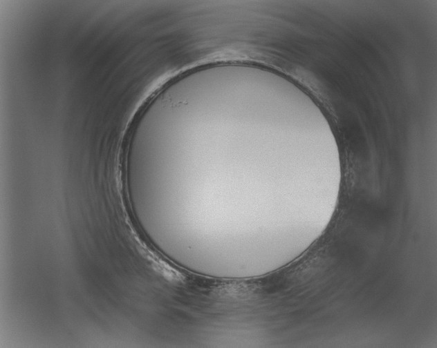 X0000052610950200507011224